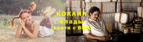стафф Магадан