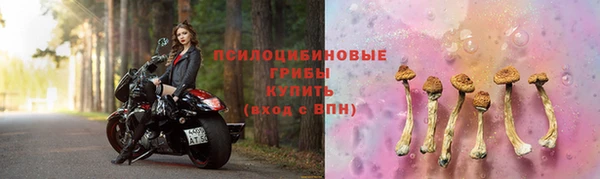 spice Майский
