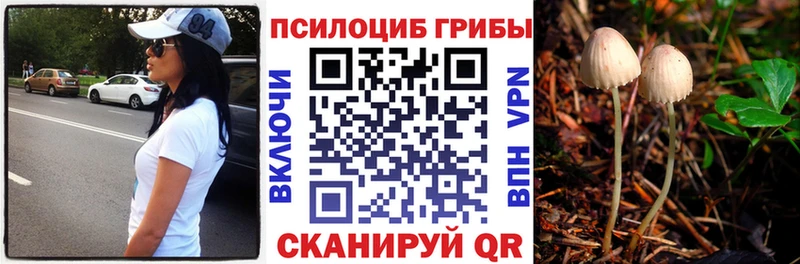 хочу наркоту  Карабаново  Галлюциногенные грибы мицелий 